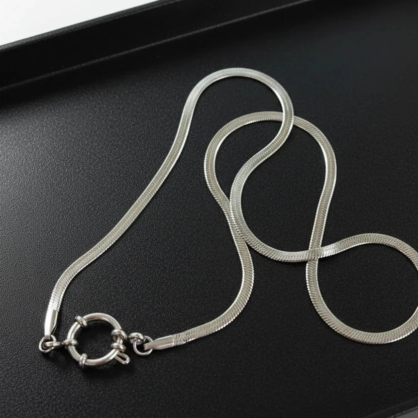 Silver snake chain necklace on a white background